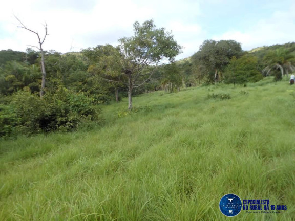 Imagem Fazenda à Venda, 57 m² em Zona Rural - Mozarlândia Imagem Fazenda à Venda, 57 m² em Zona Rural - Mozarlândia