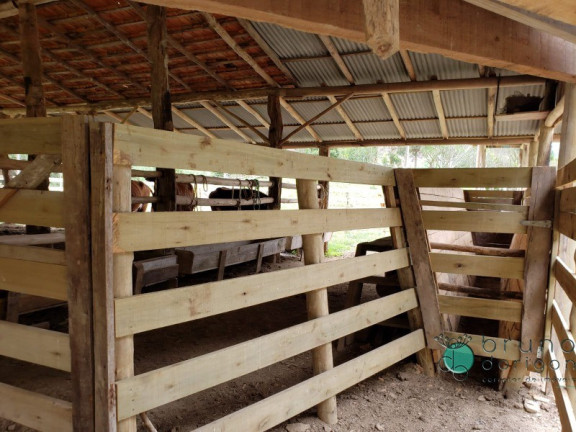 Imagem Imóvel com 3 Quartos à Venda, 250.000 m² em Zona Rural - Bom Retiro Imagem Imóvel com 3 Quartos à Venda, 250.000 m² em Zona Rural - Bom Retiro