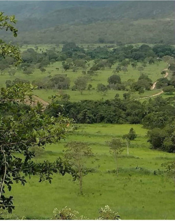 Imagem Chácara à Venda, 94 m² em Centro - Teresina De Goiás Imagem Chácara à Venda, 94 m² em Centro - Teresina De Goiás