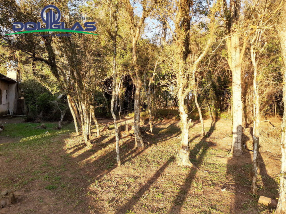 Imagem Casa com 3 Quartos à Venda, em águas Claras - Viamão Imagem Casa com 3 Quartos à Venda, em águas Claras - Viamão