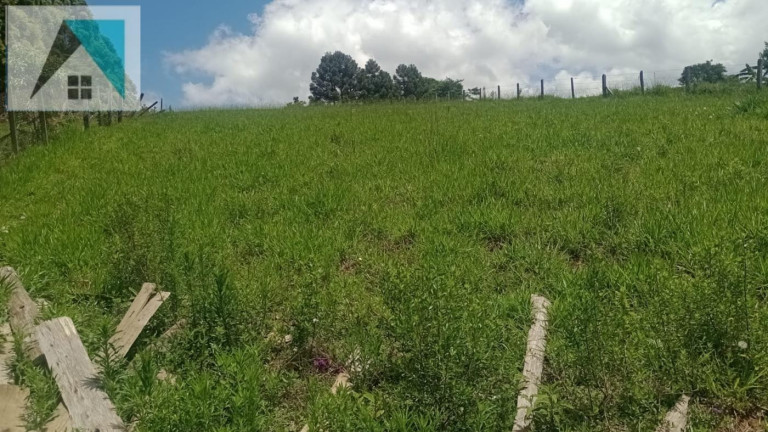 Chácara à Venda, 2.000 m² em Bairro Santo Expedito - Toledo