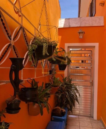 Imagem Sobrado com 5 Quartos à Venda, 120 m² em Vila Sabrina - São Paulo Imagem Sobrado com 5 Quartos à Venda, 120 m² em Vila Sabrina - São Paulo