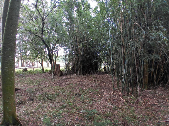 Imagem Terreno à Venda, 713 m² em águas Claras - Viamão