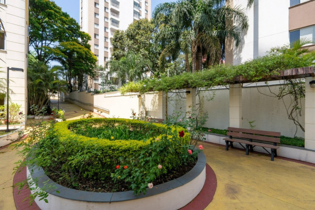 Imagem Apartamento com 2 Quartos à Venda, 49 m² em Jardim Esmeralda - São Paulo Imagem Apartamento com 2 Quartos à Venda, 49 m² em Jardim Esmeralda - São Paulo