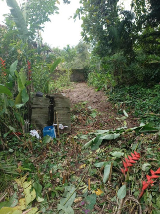 Imagem Terreno à Venda, 500 m² em Itamambuca - Ubatuba
