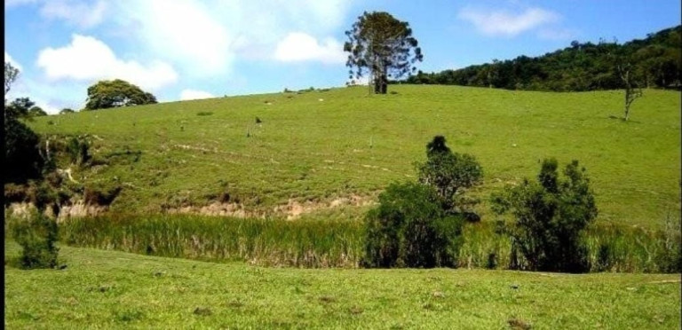 Imagem Fazenda à Venda, 300 m² em Centro - Guaratinguetá Imagem Fazenda à Venda, 300 m² em Centro - Guaratinguetá