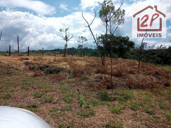 Imagem Terreno à Venda, 10.000 m² em São Benedito - Monteiro Lobato Imagem Terreno à Venda, 10.000 m² em São Benedito - Monteiro Lobato