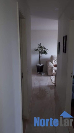 Imagem Apartamento com 3 Quartos à Venda, 78 m² em Limão - São Paulo Imagem Apartamento com 3 Quartos à Venda, 78 m² em Limão - São Paulo
