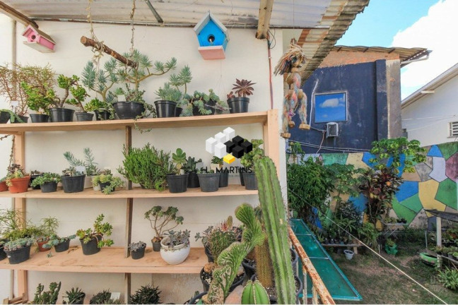 Imagem Casa com 5 Quartos à Venda, 254 m² em Três Figueiras - Porto Alegre Imagem Casa com 5 Quartos à Venda, 254 m² em Três Figueiras - Porto Alegre