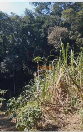 Imagem Chácara com 1 Quarto à Venda, 6.500 m² em Tapera Grande - Mairiporã Imagem Chácara com 1 Quarto à Venda, 6.500 m² em Tapera Grande - Mairiporã