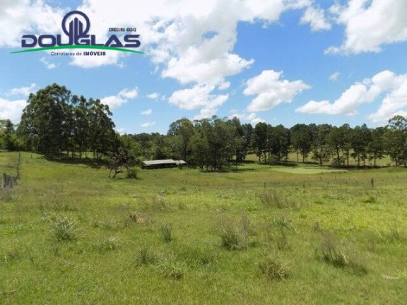 Imagem Chácara com 2 Quartos à Venda, 190.000 m² em Viamão
