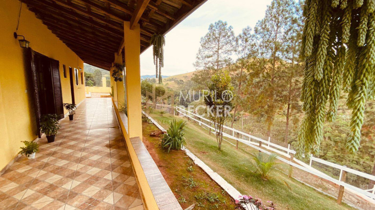 Imagem Chácara com 3 Quartos à Venda, 24.000 m² em Souzas - Monteiro Lobato