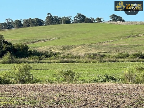 Imóvel à Venda, 2.000.000 m² em Centro - São Gabriel
