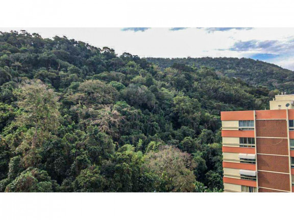 Imagem Apartamento com 1 Quarto à Venda, 24 m² em Laranjeiras - Rio De Janeiro Imagem Apartamento com 1 Quarto à Venda, 24 m² em Laranjeiras - Rio De Janeiro