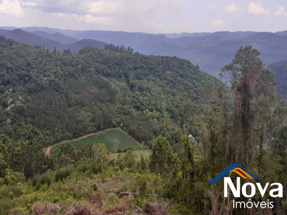 Imagem Imóvel à Venda, em Linha Olinda - Nova Petrópolis Imagem Imóvel à Venda, em Linha Olinda - Nova Petrópolis