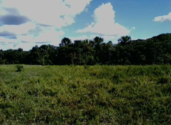 Imagem Imóvel à Venda,  em Colinas Do Tocantins - Colinas Do Tocantins