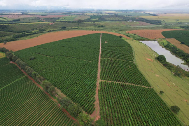 Imagem Fazenda à Venda, 48 m² em Zona Rural - Piumhi Imagem Fazenda à Venda, 48 m² em Zona Rural - Piumhi