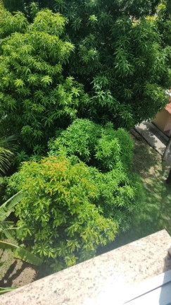 Imagem Apartamento com 3 Quartos à Venda, 53 m² em Campo Grande - Rio De Janeiro Imagem Apartamento com 3 Quartos à Venda, 53 m² em Campo Grande - Rio De Janeiro