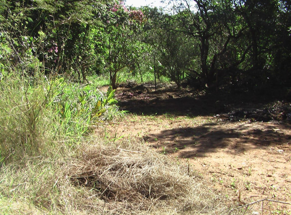 Imagem Imóvel com 1 Quarto à Venda, 21.000 m² em Zona Rural - Palmeiras (dois Irmãos Do Buriti)