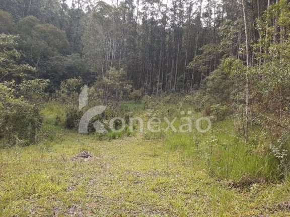 Imagem Chácara com 4 Quartos à Venda, 200 m² em Centro - Paraibuna Imagem Chácara com 4 Quartos à Venda, 200 m² em Centro - Paraibuna