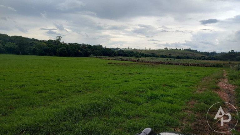 Imagem Terreno à Venda, 81.332 m² em Colônia Dona Luíza - Ponta Grossa