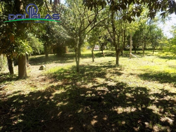 Imagem Imóvel Comercial à Venda,  em Viamão