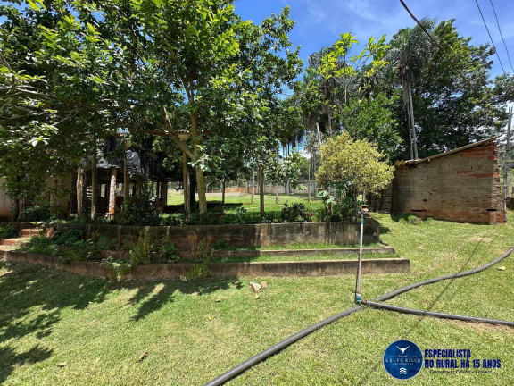 Imagem Chácara à Venda, 40 m² em Zona Rural - Petrolina De Goiás Imagem Chácara à Venda, 40 m² em Zona Rural - Petrolina De Goiás