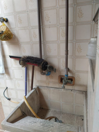 Imagem Casa com 2 Quartos à Venda, 70 m² em Macuco - Santos Imagem Casa com 2 Quartos à Venda, 70 m² em Macuco - Santos