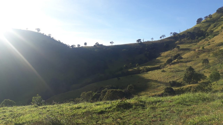 Fazenda à Venda, 100 m² em Vila Isabel - Itajubá
