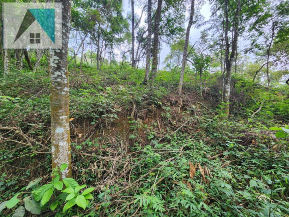 Imagem Chácara à Venda, 1.000 m² em Ponunduva - Cajamar