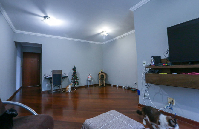 Imagem Apartamento com 3 Quartos à Venda,  em Saúde - São Paulo