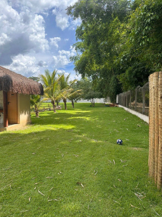Imagem Chácara com 2 Quartos à Venda, 7.700 m² em Centro - Trindade Imagem Chácara com 2 Quartos à Venda, 7.700 m² em Centro - Trindade
