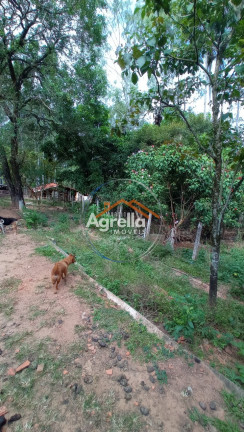 Imagem Imóvel com 3 Quartos à Venda, 25.000 m² em Jardim Primavera - Mogi Mirim Imagem Imóvel com 3 Quartos à Venda, 25.000 m² em Jardim Primavera - Mogi Mirim