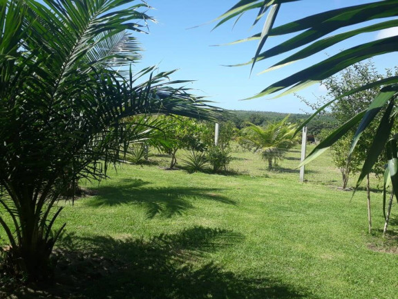 Imagem Casa com 6 Quartos à Venda, 40.000 m² em Barra Do Cunhaú - Canguaretama Imagem Casa com 6 Quartos à Venda, 40.000 m² em Barra Do Cunhaú - Canguaretama