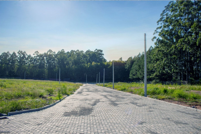 Imagem Terreno à Venda, 481 m² em Camobi - Santa Maria Imagem Terreno à Venda, 481 m² em Camobi - Santa Maria