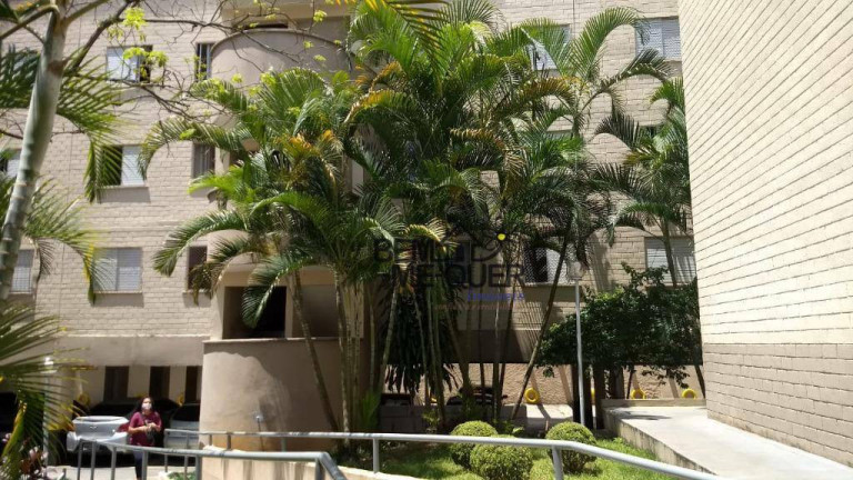 Imagem Apartamento com 2 Quartos à Venda, 60 m² em Pirituba - São Paulo Imagem Apartamento com 2 Quartos à Venda, 60 m² em Pirituba - São Paulo