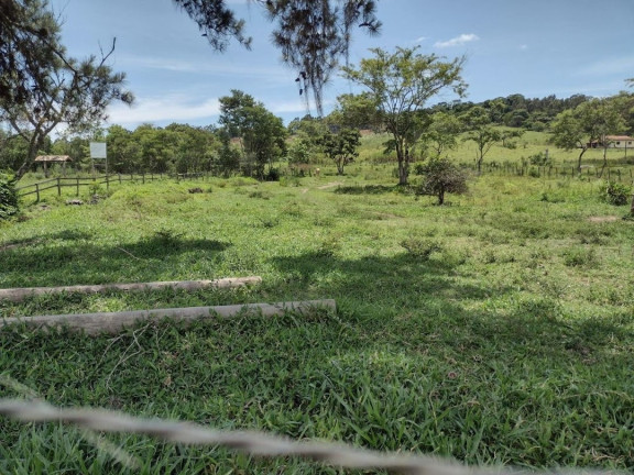 Imagem Chácara com 2 Quartos à Venda, 100 m² em Centro - Paraibuna Imagem Chácara com 2 Quartos à Venda, 100 m² em Centro - Paraibuna