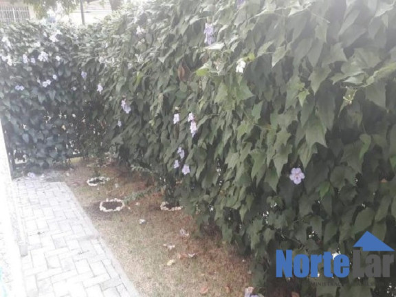 Imagem Apartamento com 2 Quartos à Venda, 55 m² em Jardim Modelo - São Paulo Imagem Apartamento com 2 Quartos à Venda, 55 m² em Jardim Modelo - São Paulo