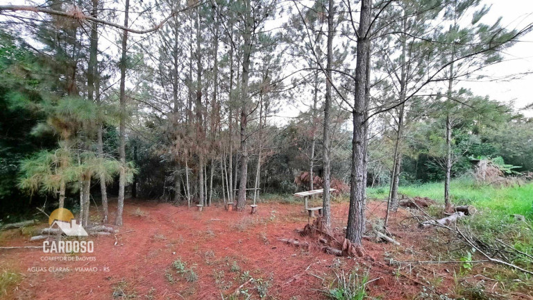 Imagem Fazenda à Venda, 46.000 m² em águas Claras - Viamão Imagem Fazenda à Venda, 46.000 m² em águas Claras - Viamão