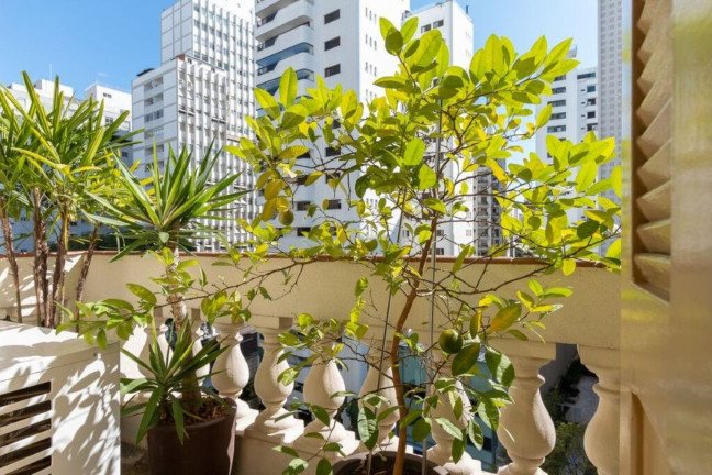 Imagem Imóvel com 3 Quartos à Venda, 220 m² em Higienópolis - São Paulo Imagem Imóvel com 3 Quartos à Venda, 220 m² em Higienópolis - São Paulo