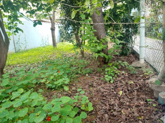Imagem Casa com 1 Quarto à Venda, 254 m² em Jardim Ana Rosa - São Paulo