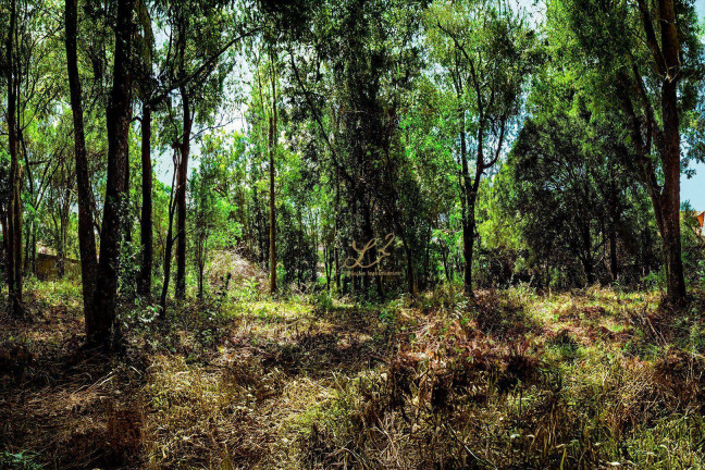 Imagem Terreno à Venda, 2.189 m² em Pinheirinho - Curitiba Imagem Terreno à Venda, 2.189 m² em Pinheirinho - Curitiba