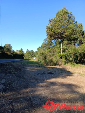 Imagem Ponto Comercial à Venda, 19 m² em Barão Imagem Ponto Comercial à Venda, 19 m² em Barão