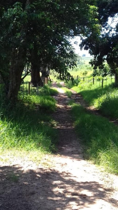 Imagem Fazenda à Venda, 60 m² em Rural - Avaré