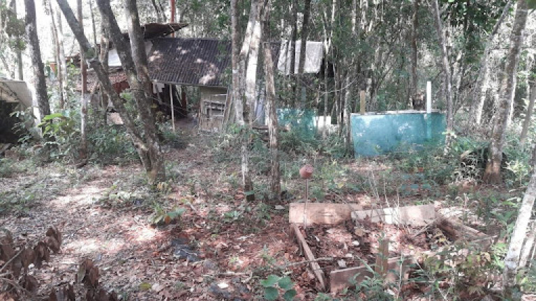Imagem Terreno em Condomínio à Venda, 5.000 m² em Jardim Petrópolis - Nova Lima Imagem Terreno em Condomínio à Venda, 5.000 m² em Jardim Petrópolis - Nova Lima