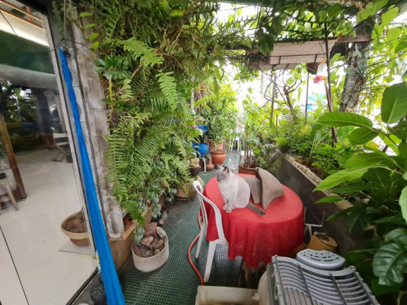 Cobertura com 2 Quartos à Venda, 136 m² em Higienópolis - São Paulo