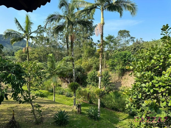 Imagem Chácara com 4 Quartos à Venda, 124 m² em Raposo Tavares - Itariri
