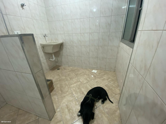 Imagem Apartamento com 2 Quartos à Venda, 65 m² em Baeta Neves - São Bernardo Do Campo Imagem Apartamento com 2 Quartos à Venda, 65 m² em Baeta Neves - São Bernardo Do Campo