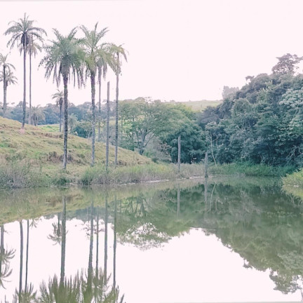 Imagem Imóvel com 8 Quartos à Venda, 32.000 m² em Curralinho - Igarapé
