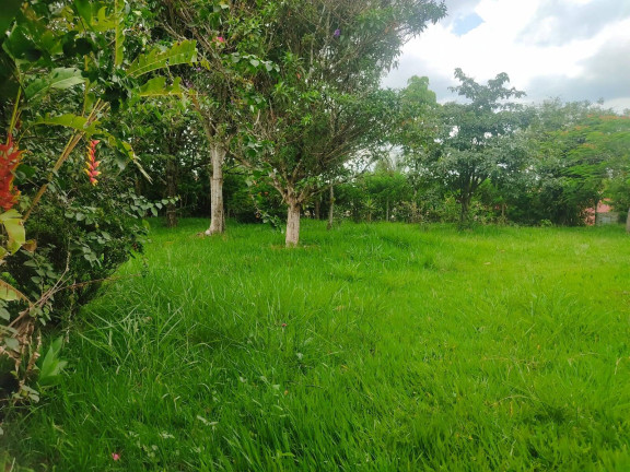 Imagem Chácara com 3 Quartos à Venda, 1 m² em Bairro Do Cercado - Araçoiaba Da Serra Imagem Chácara com 3 Quartos à Venda, 1 m² em Bairro Do Cercado - Araçoiaba Da Serra